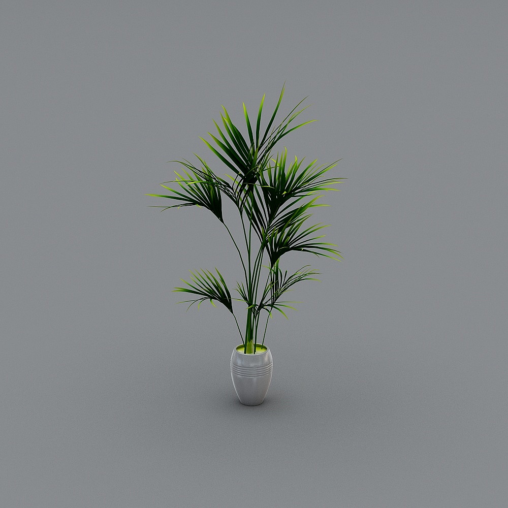 绿植02-LS