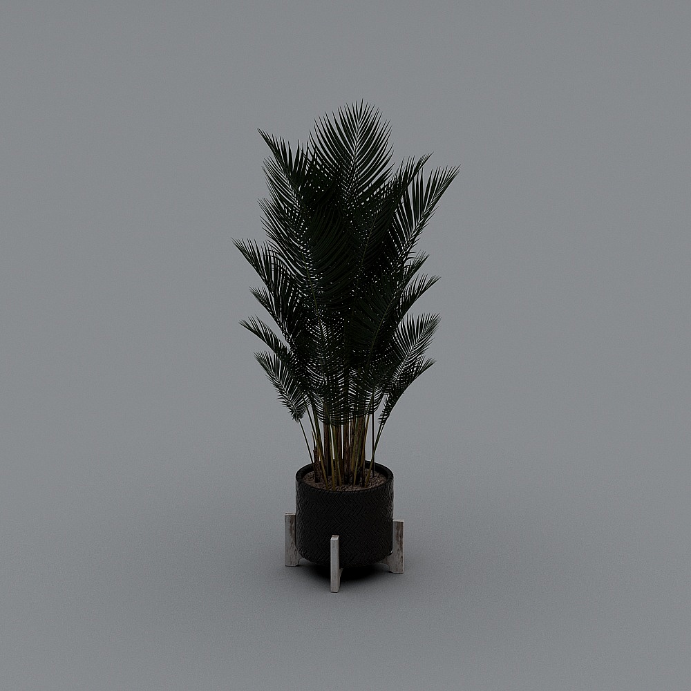 植物2-YB