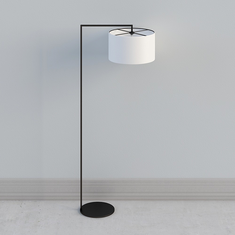 Modern Floor Lamps Black   L4D1113ENDDVAPI3JLEJKFNNXEPP3WKTI8 1000x1000 