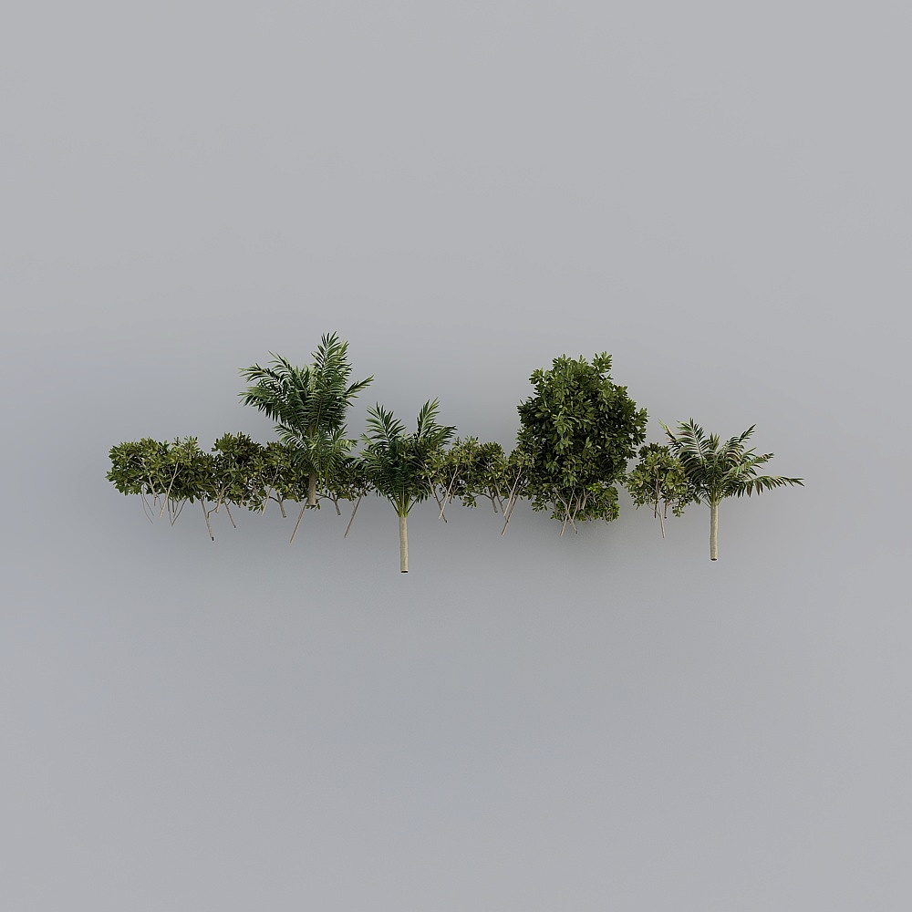 户外-植物-XS3D模型