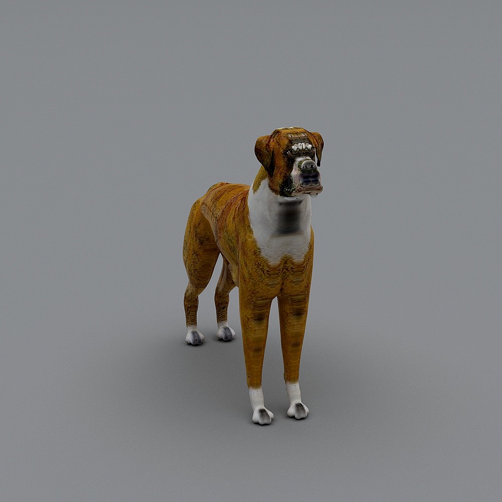 狗3D模型