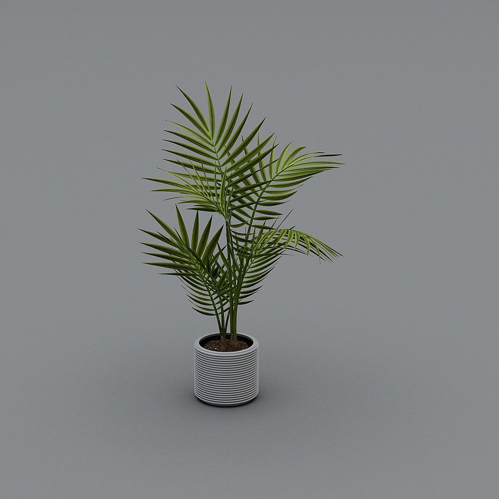 白色花盆绿植1.0-LY