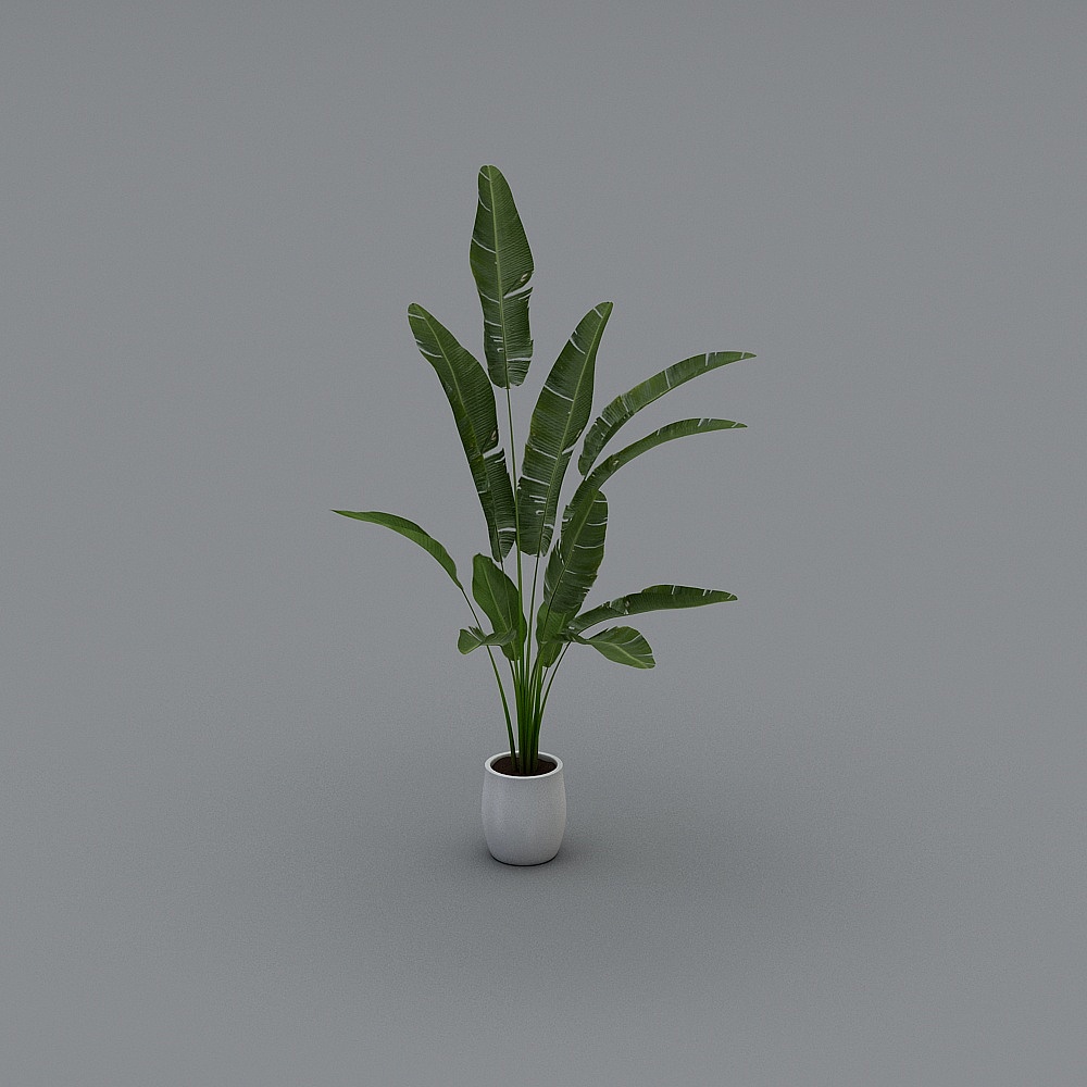 绿植-LS3D模型