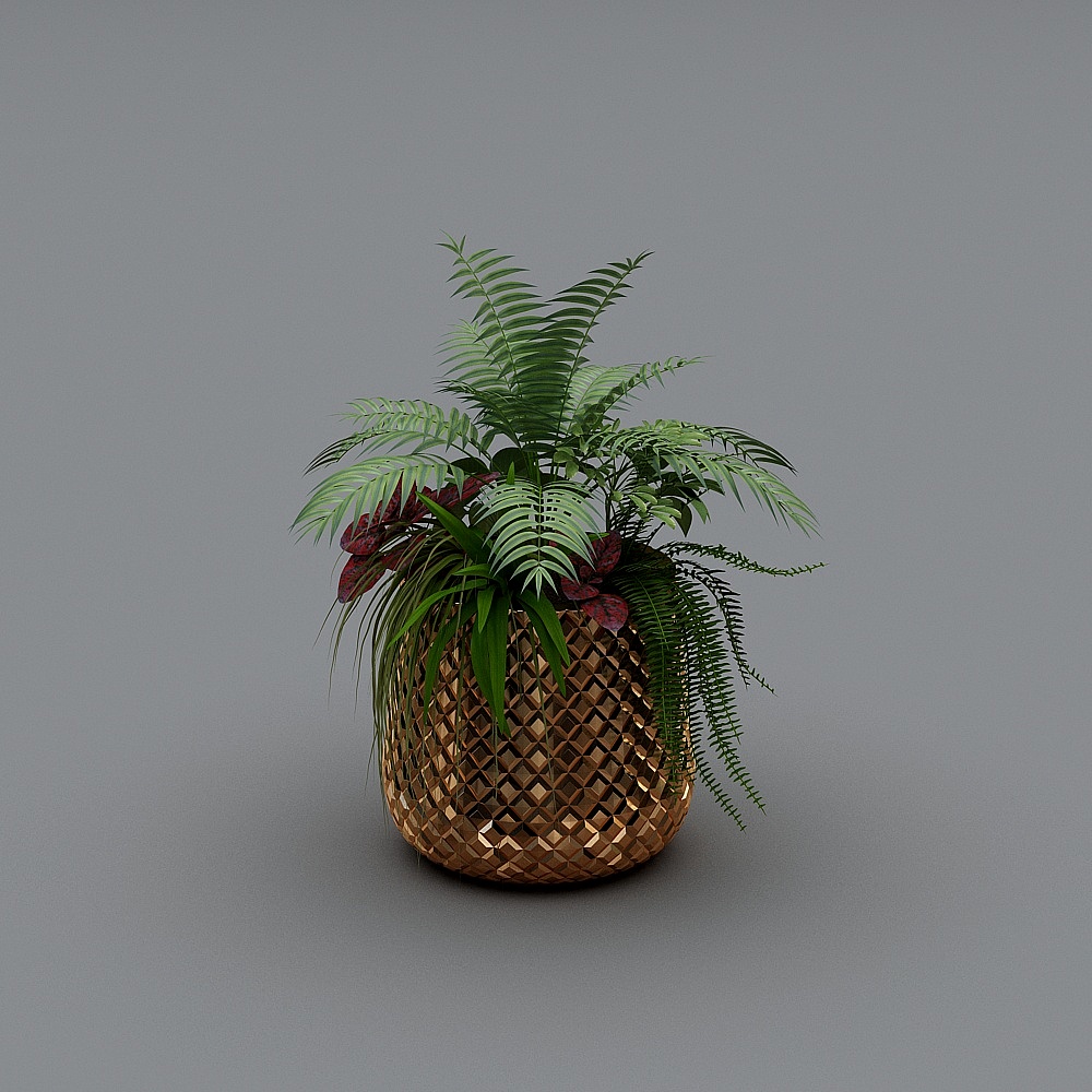 绿植