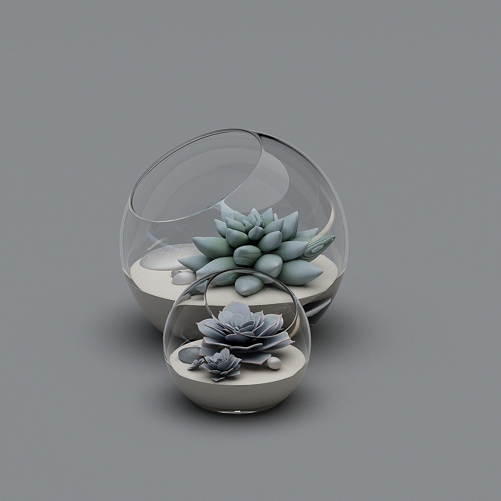 绿植33