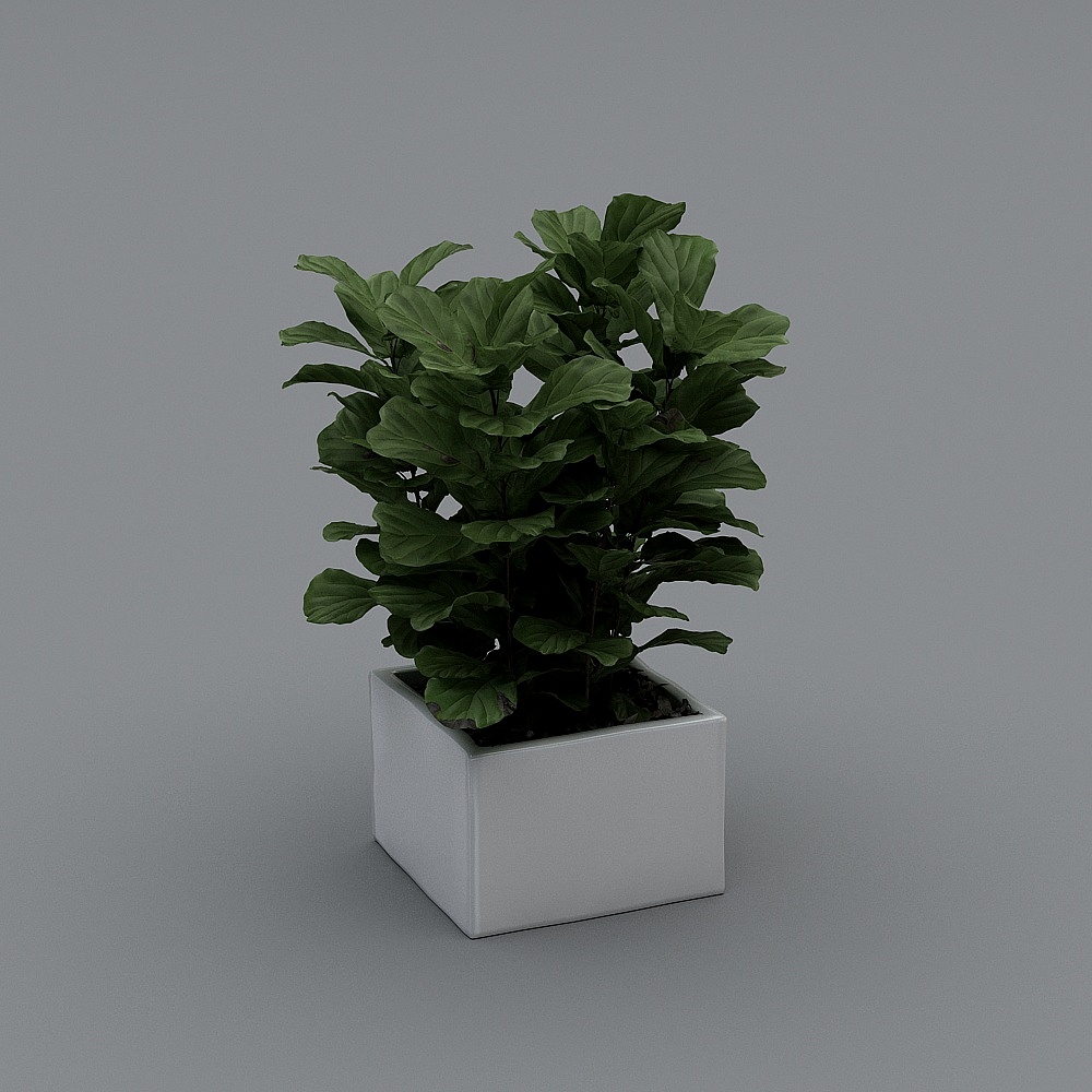 绿植3D模型
