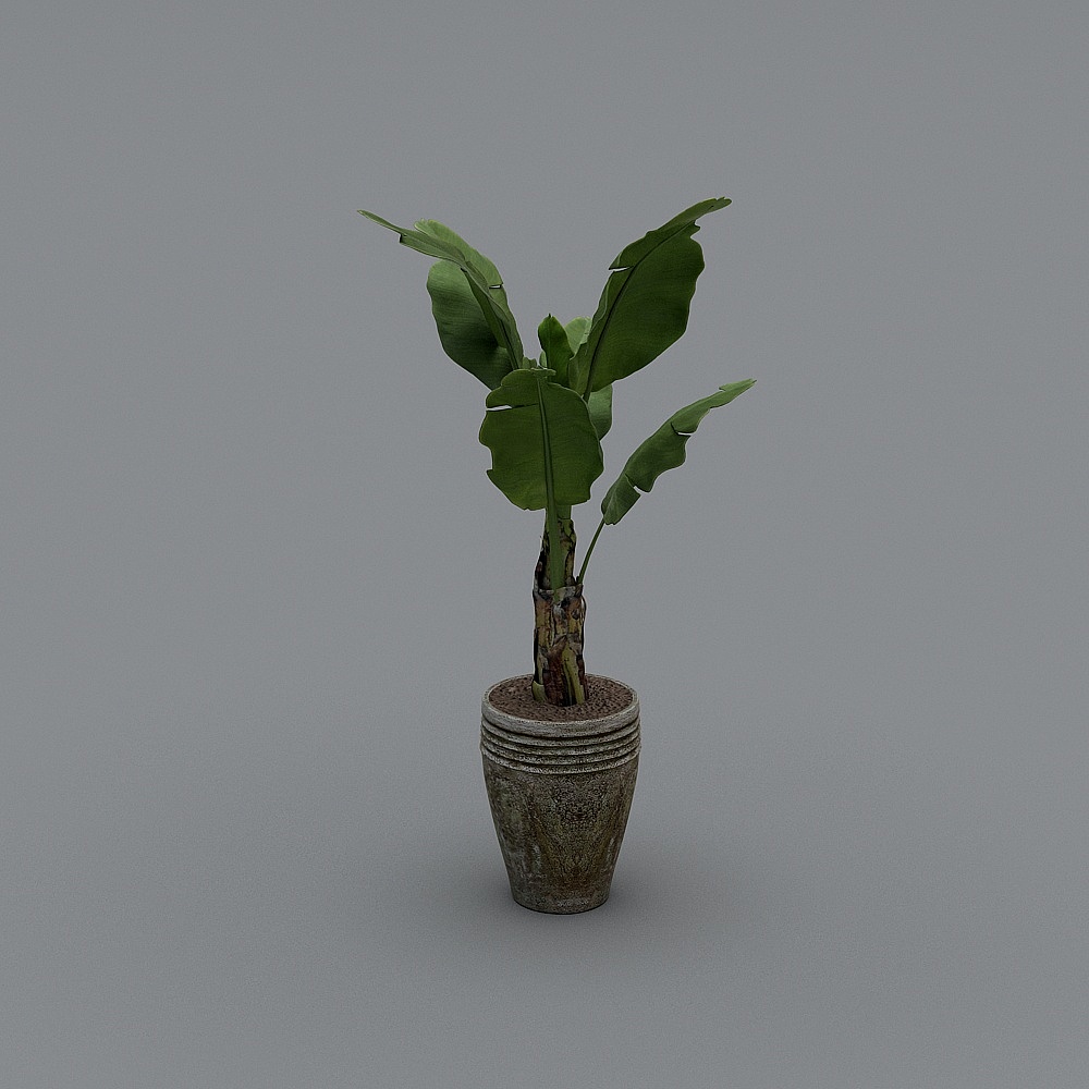 绿植3D模型