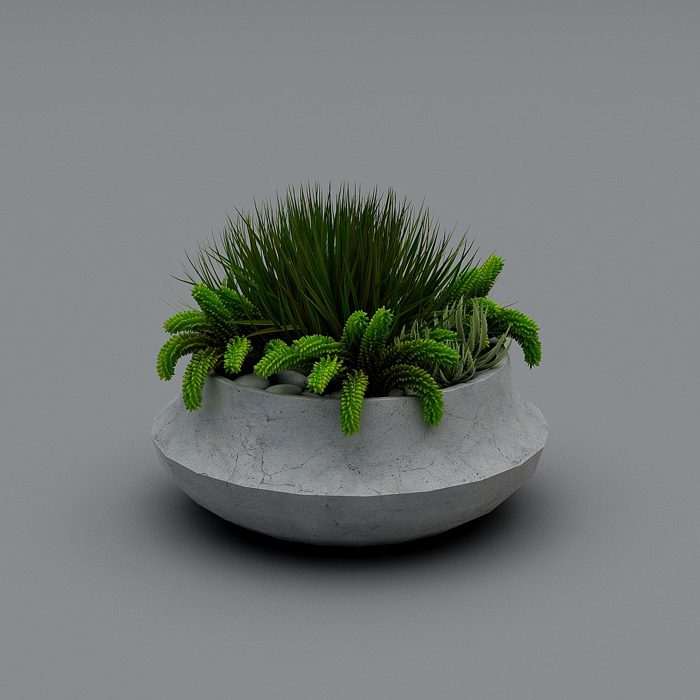 绿植