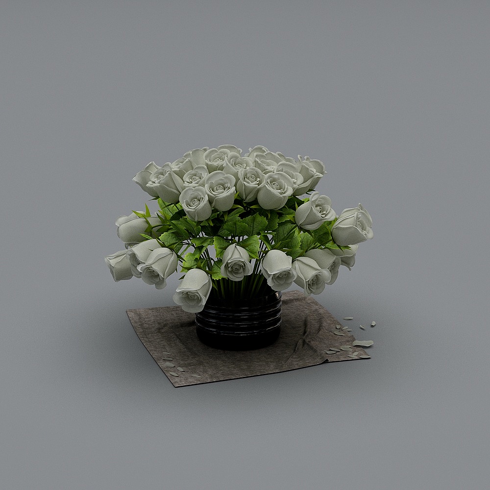 玫瑰花-2