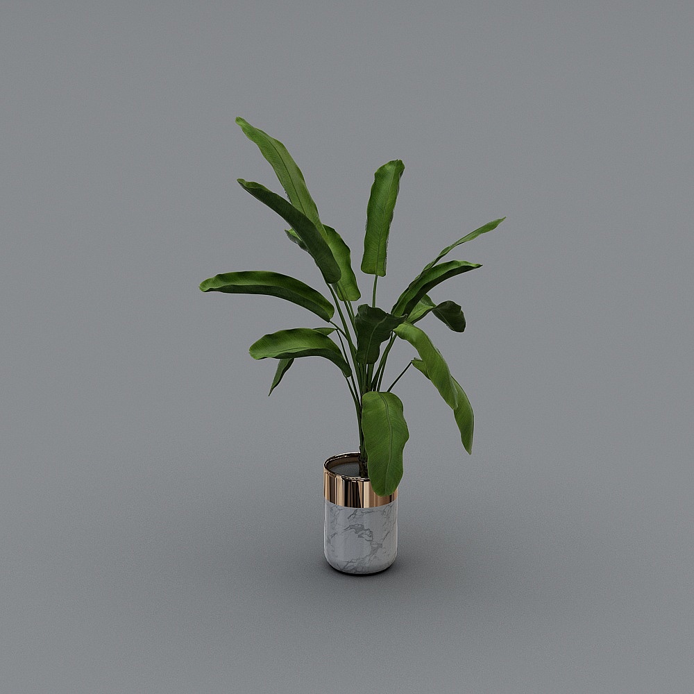 植物3D模型