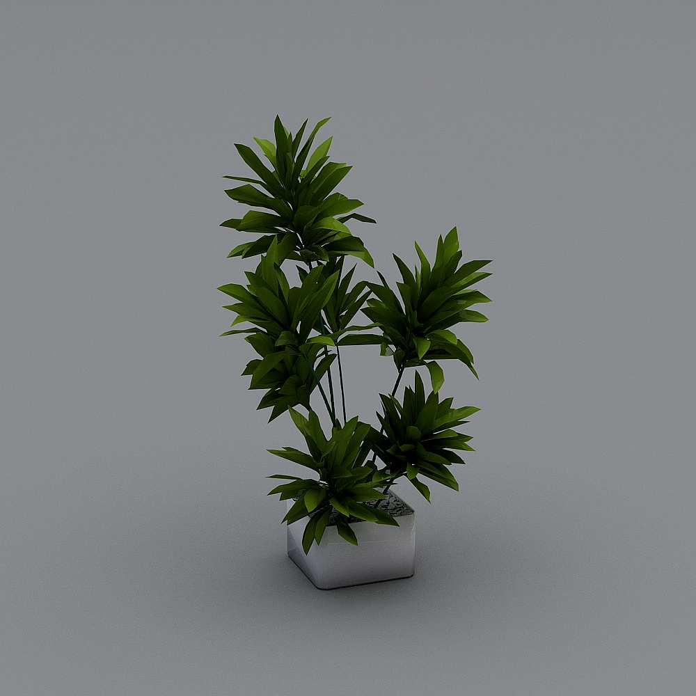 植物盆景盆栽3D模型