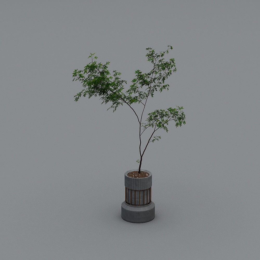 盆栽2