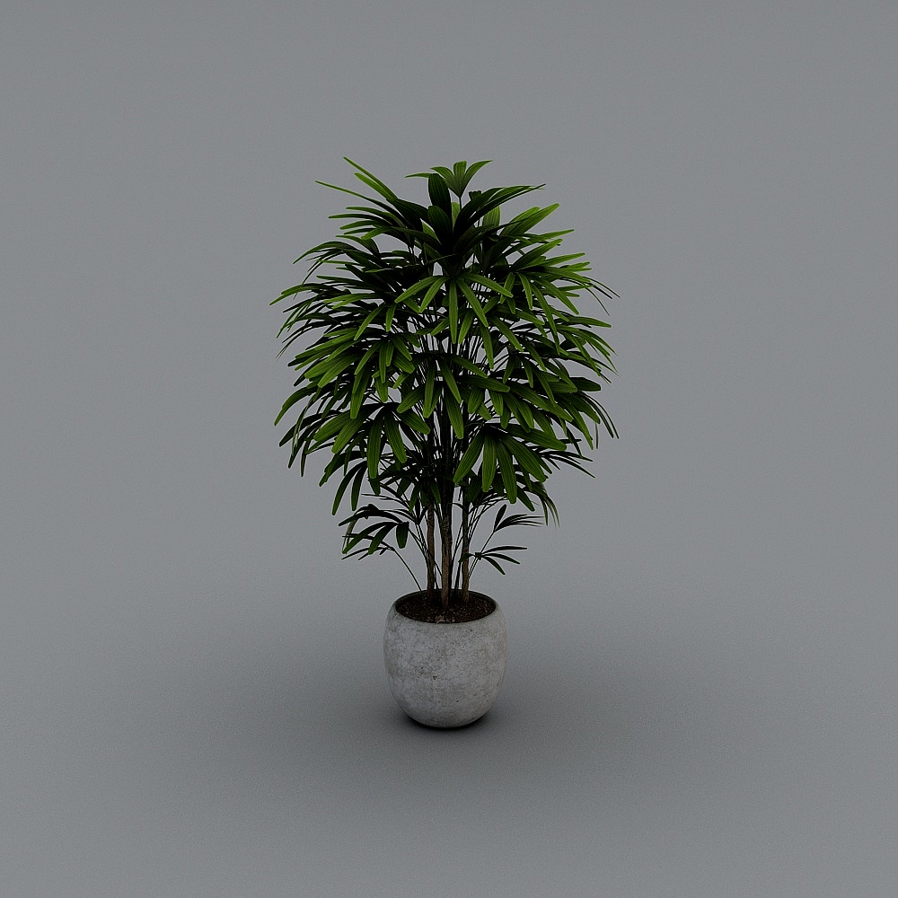 盆栽3