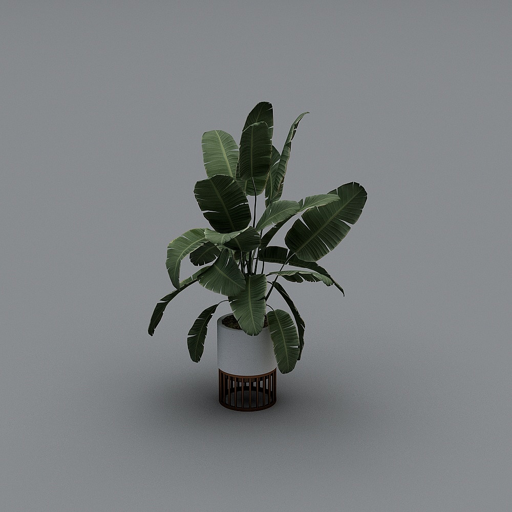 盆栽23D模型