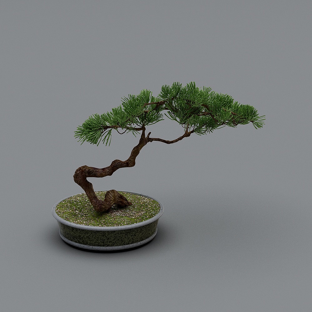 中式盆栽植物-LS