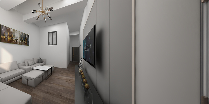 长大励志当村长-张鸿禹出租房-装修设计方案