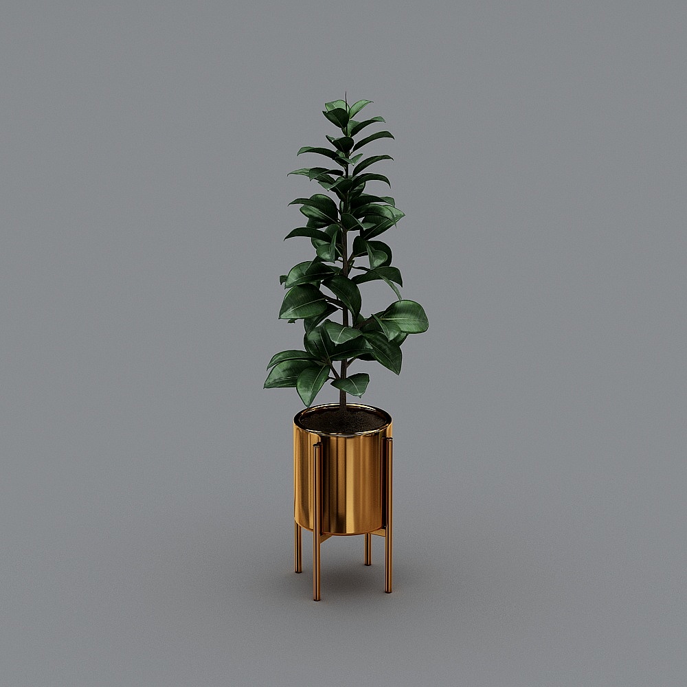 绿植3D模型