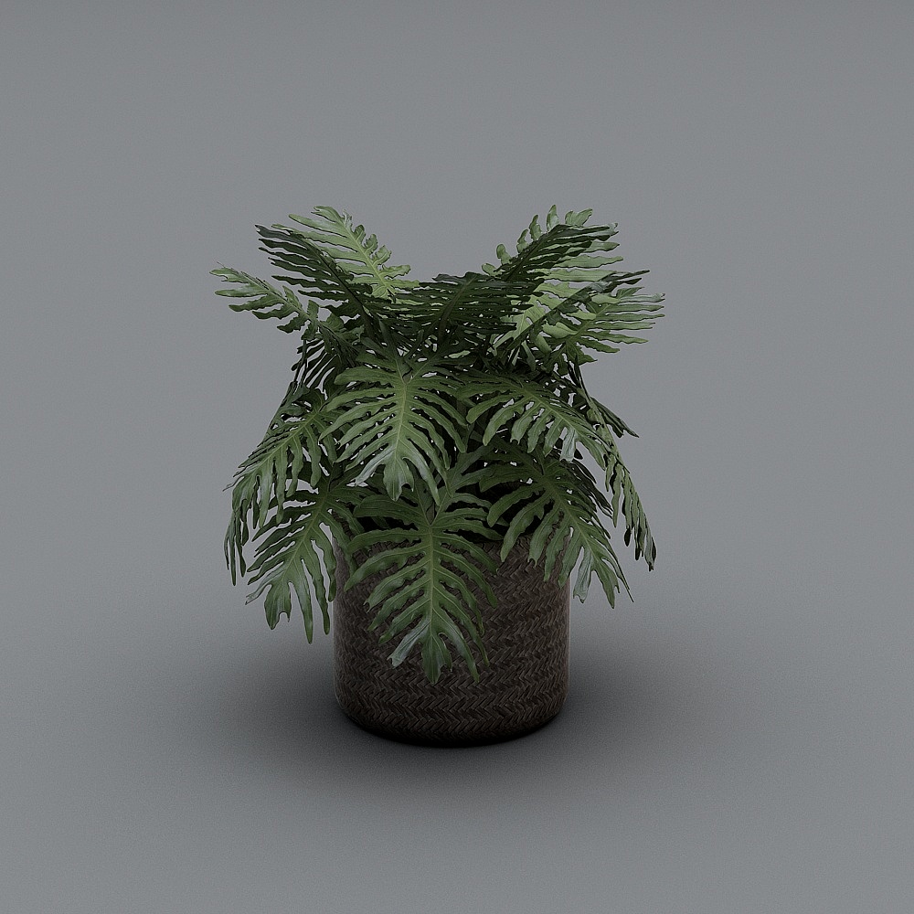 现代-绿植-XS3D模型
