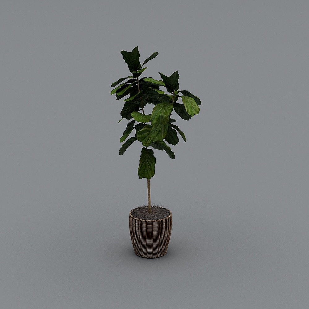 绿植0013D模型