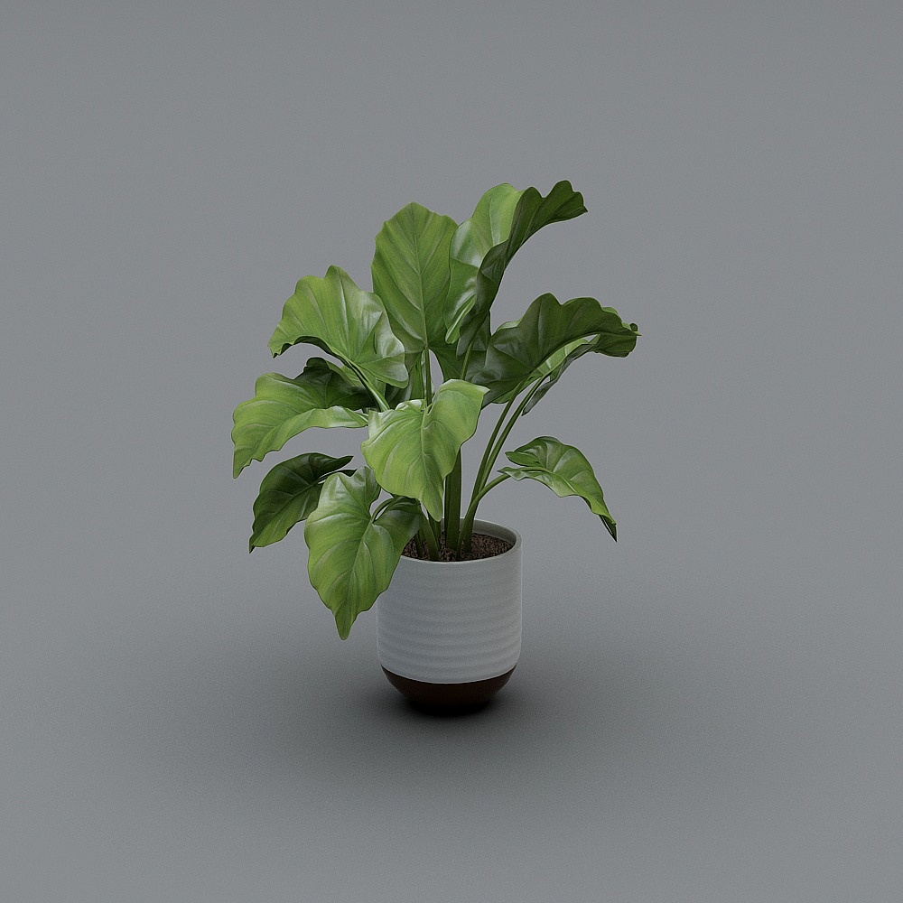 Faux Potted Greater Burdock Houseplant