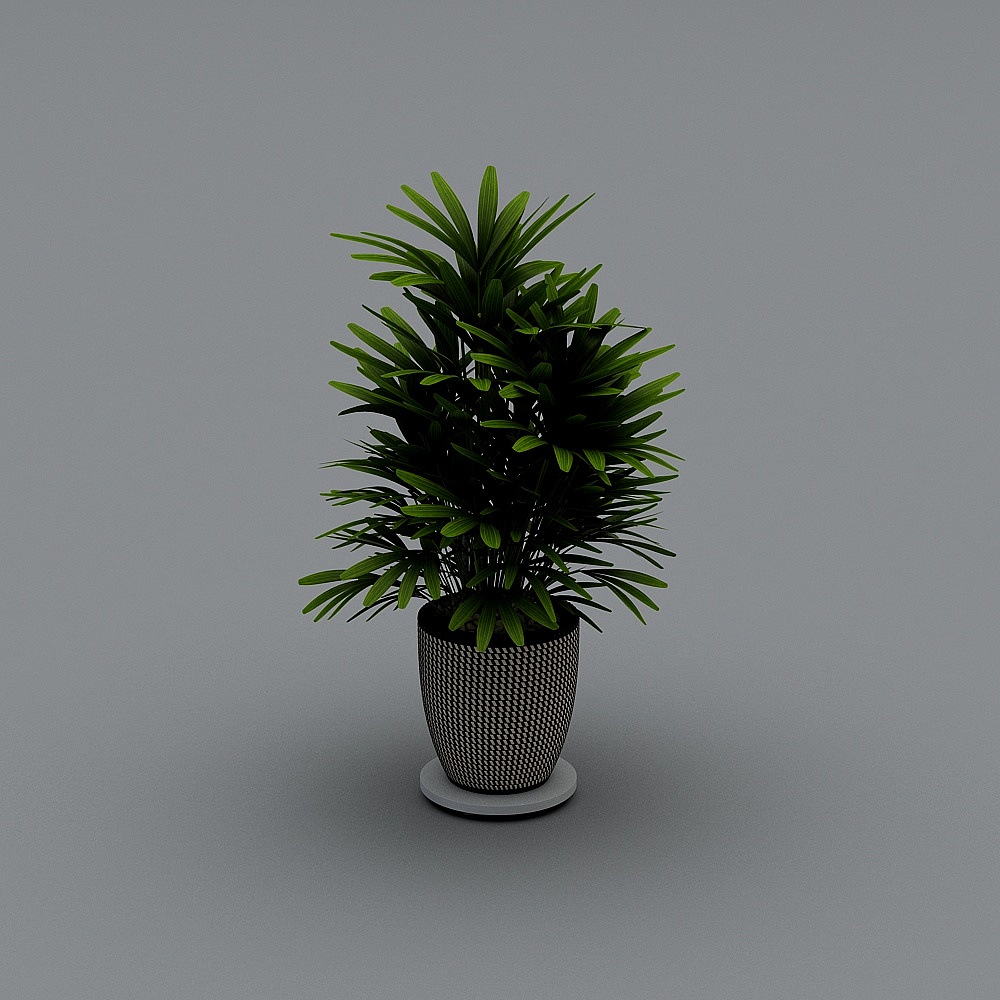 绿植3D模型