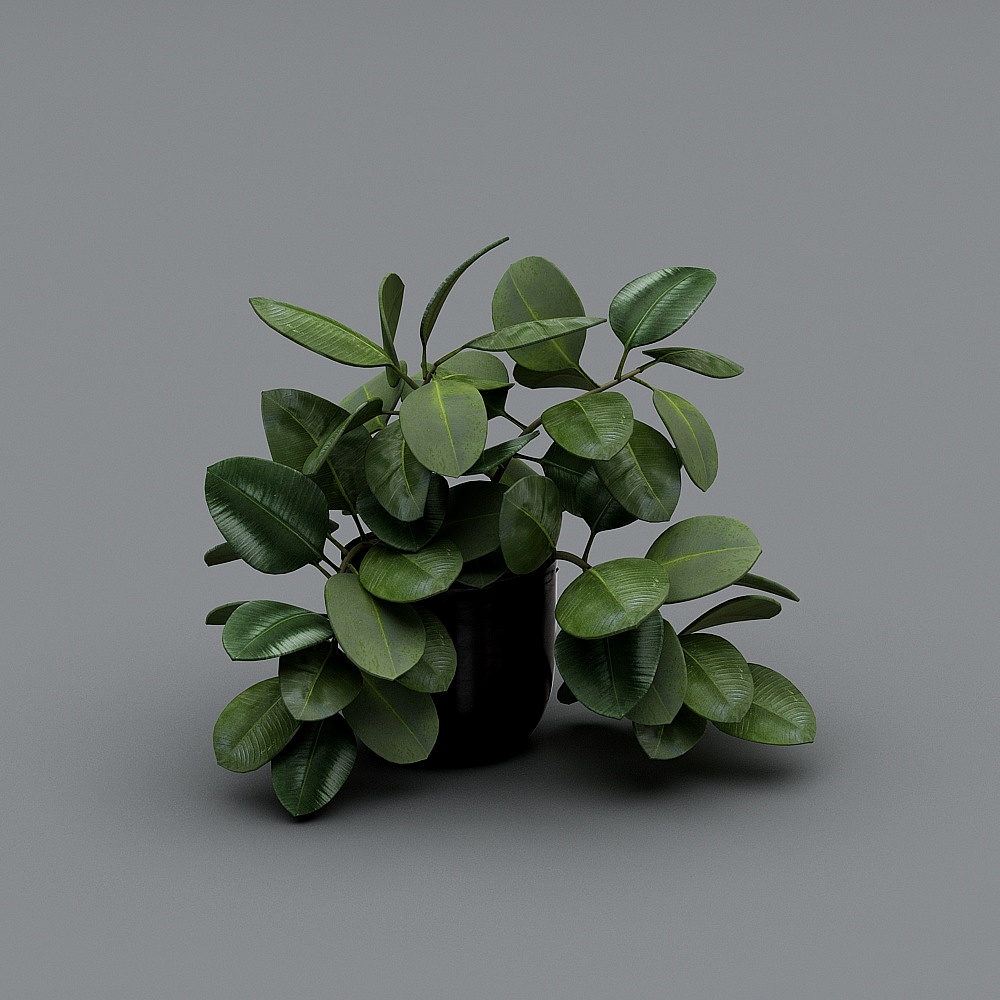 现代-摆件-植物-XS3D模型