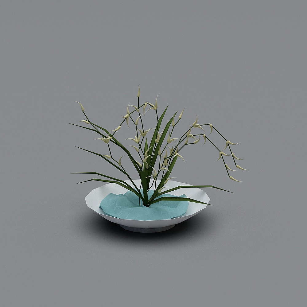 植物014