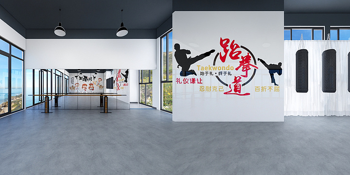 笛洛设计-铂悦山跆拳道-装修设计方案