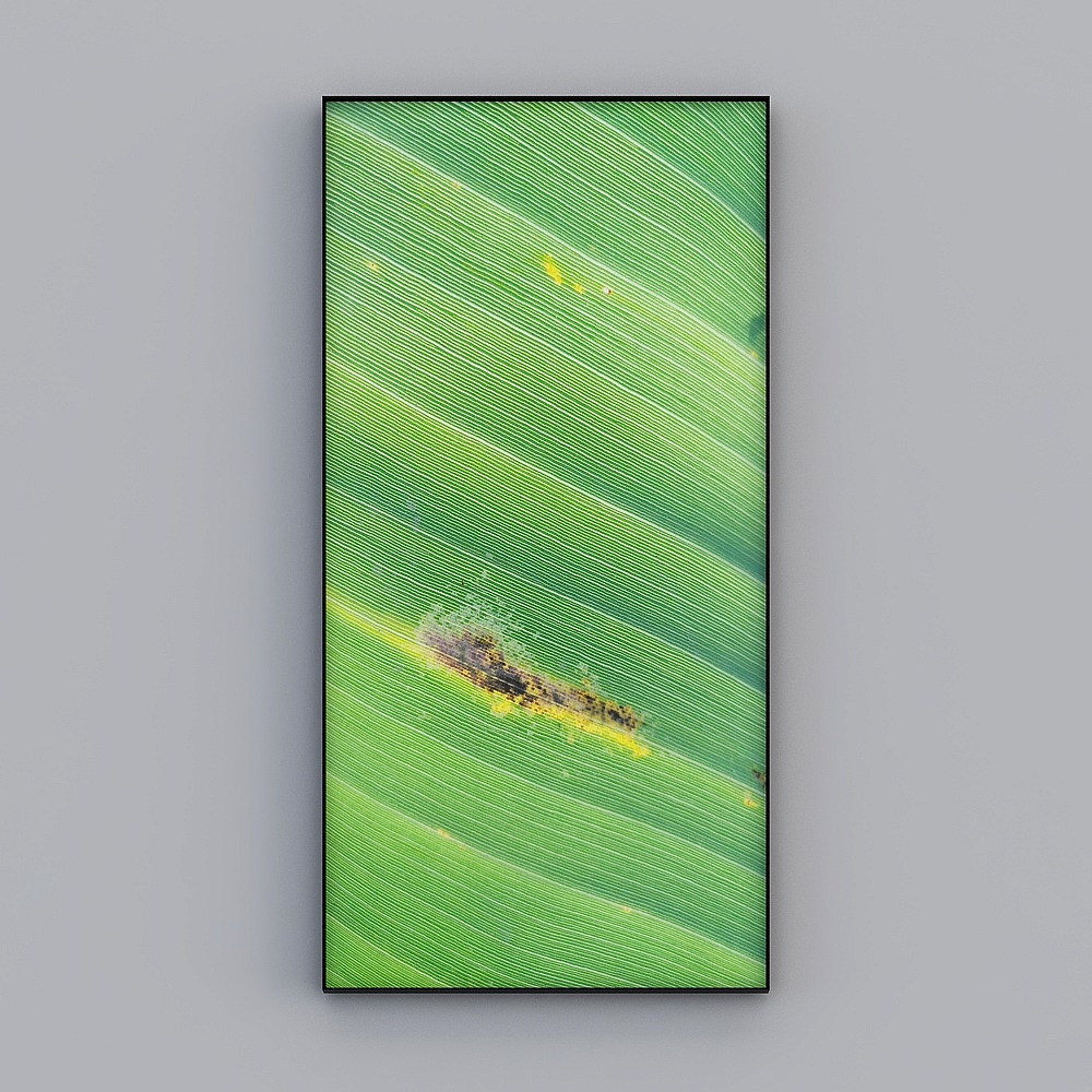 臣萱全屋配画-玄关画-超写实-芭蕉叶九3D模型