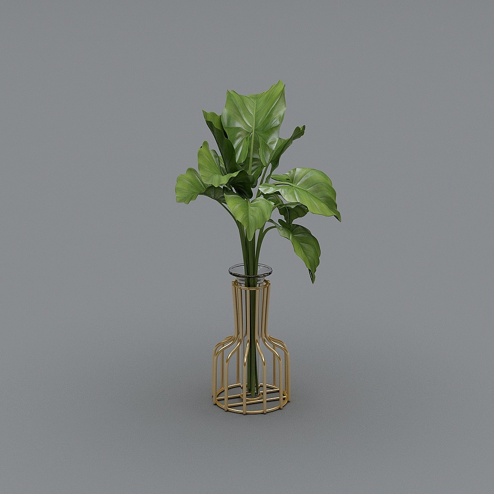 水培花器+万年青3D模型