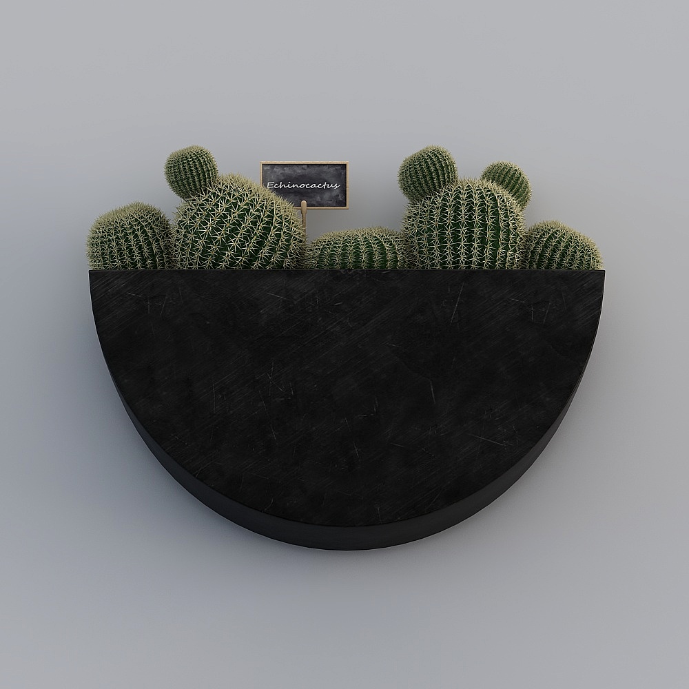 壁挂植物组合-13D模型