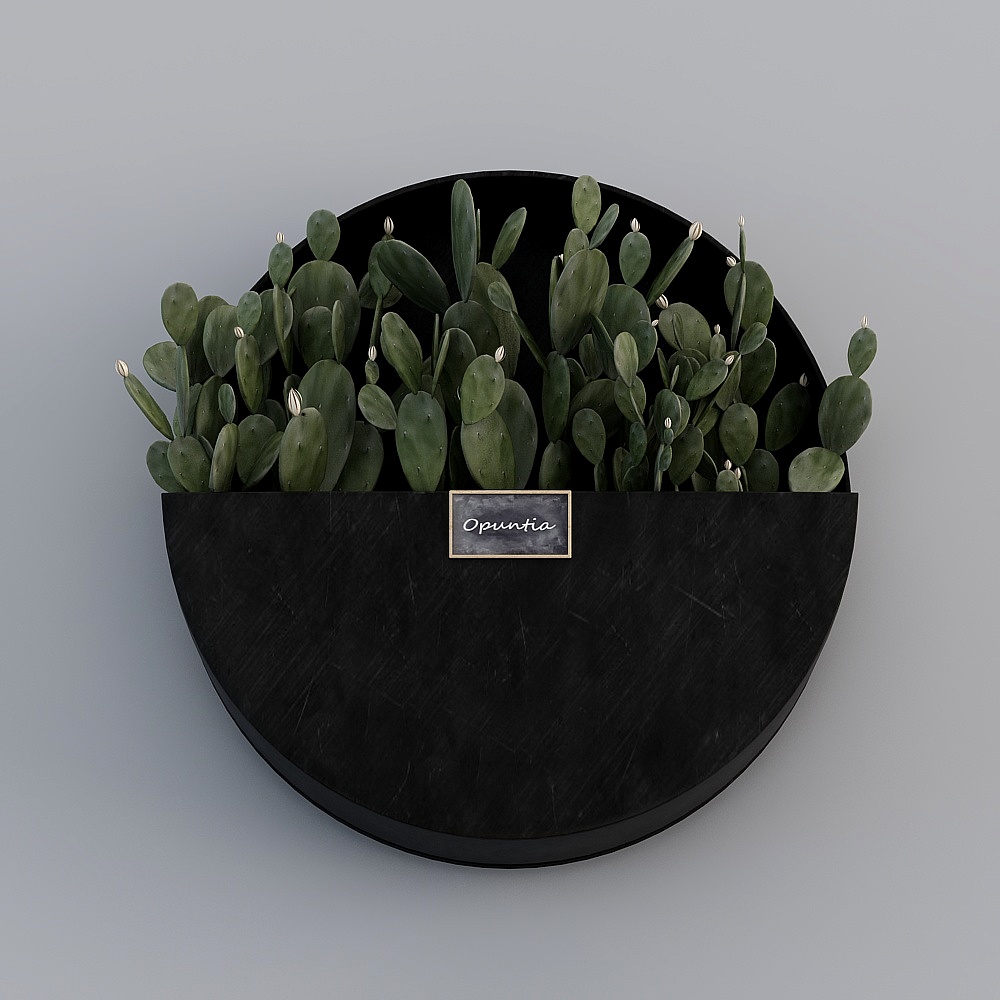 壁挂植物组合-33D模型
