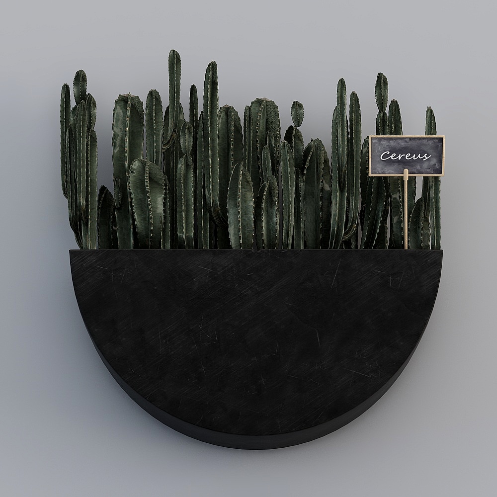 壁挂植物组合-4