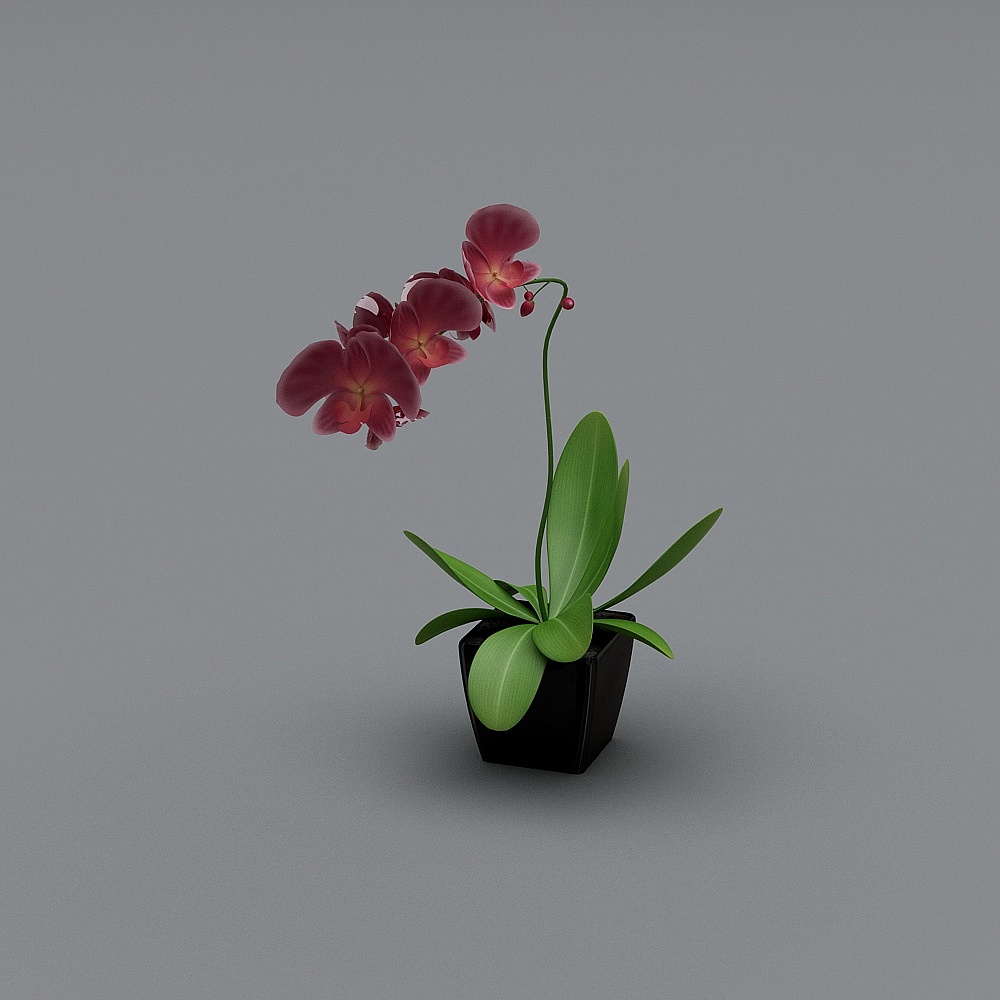摆件1