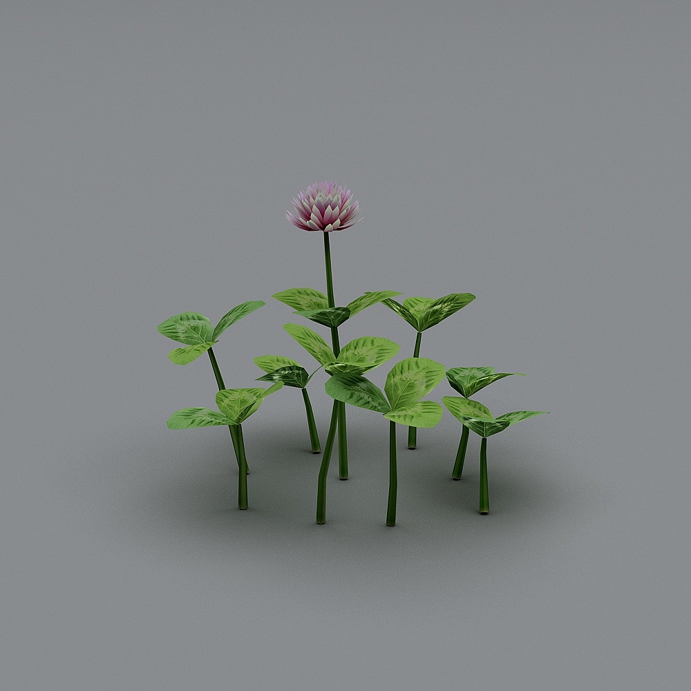 户外植物-353D模型