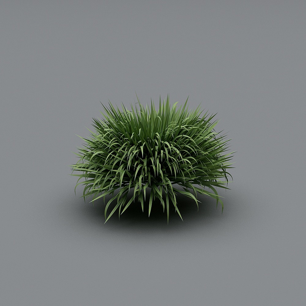 户外植物-363D模型