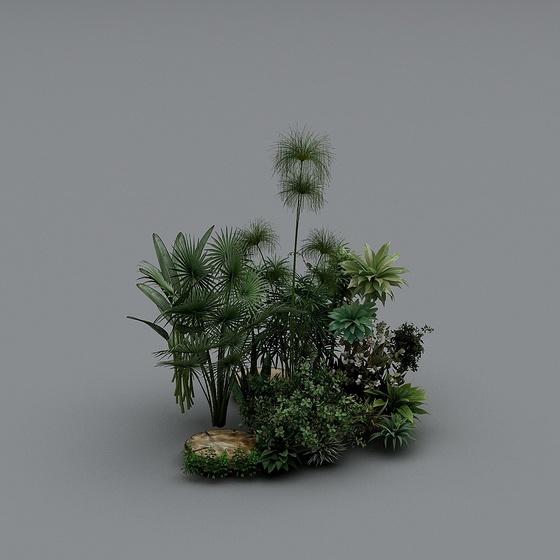 Outdoor plants-23