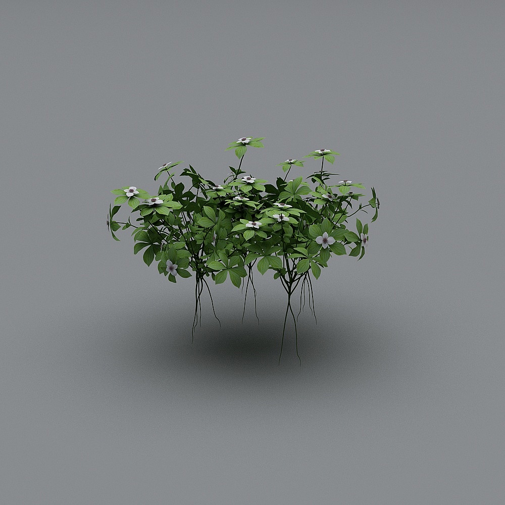 戶外植物-373d模型