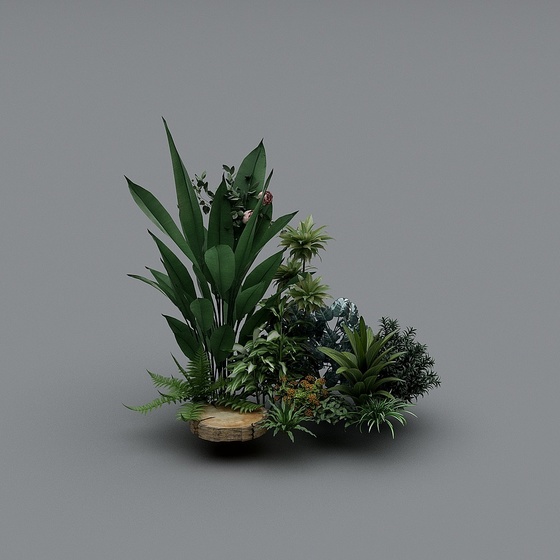 Modern Plants,Plants,Green