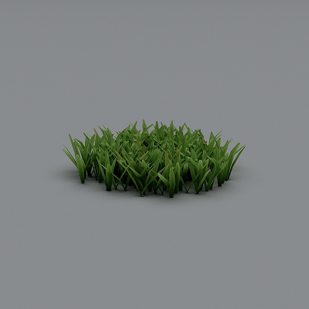 户外植物-383D模型