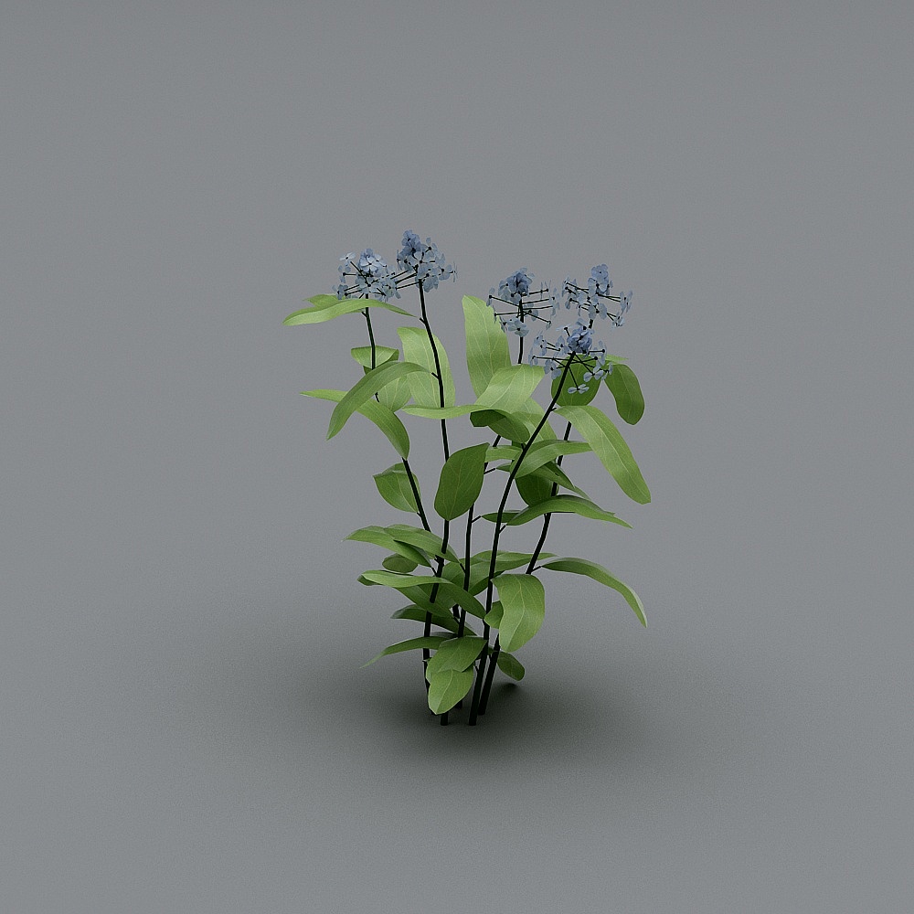 户外植物-553D模型