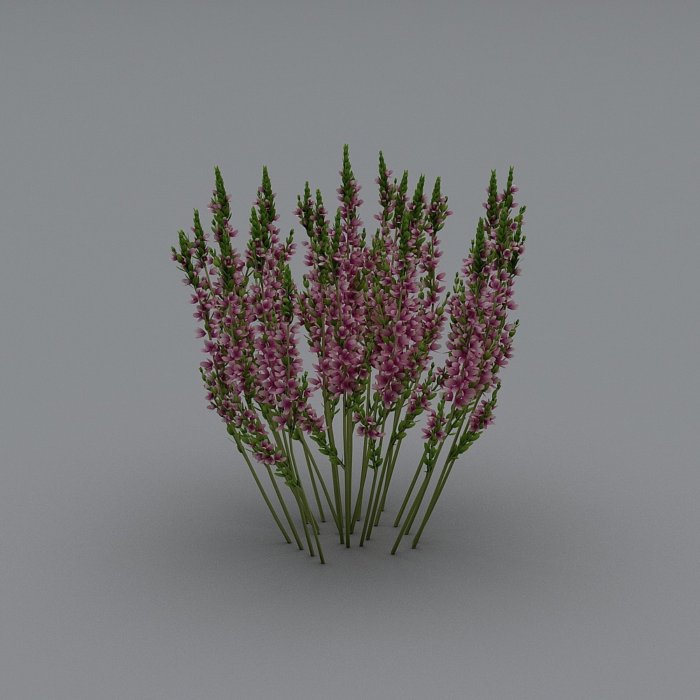 户外植物-533D模型