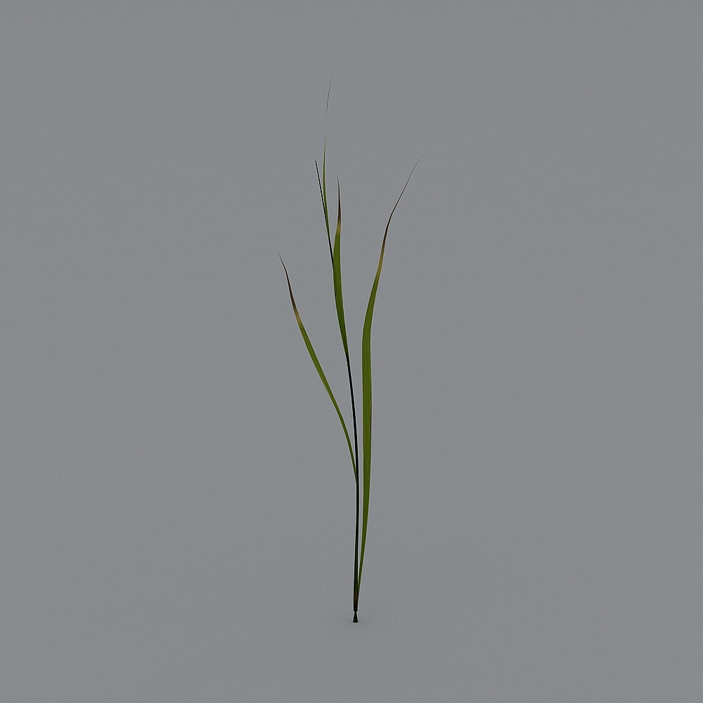 户外植物-683D模型