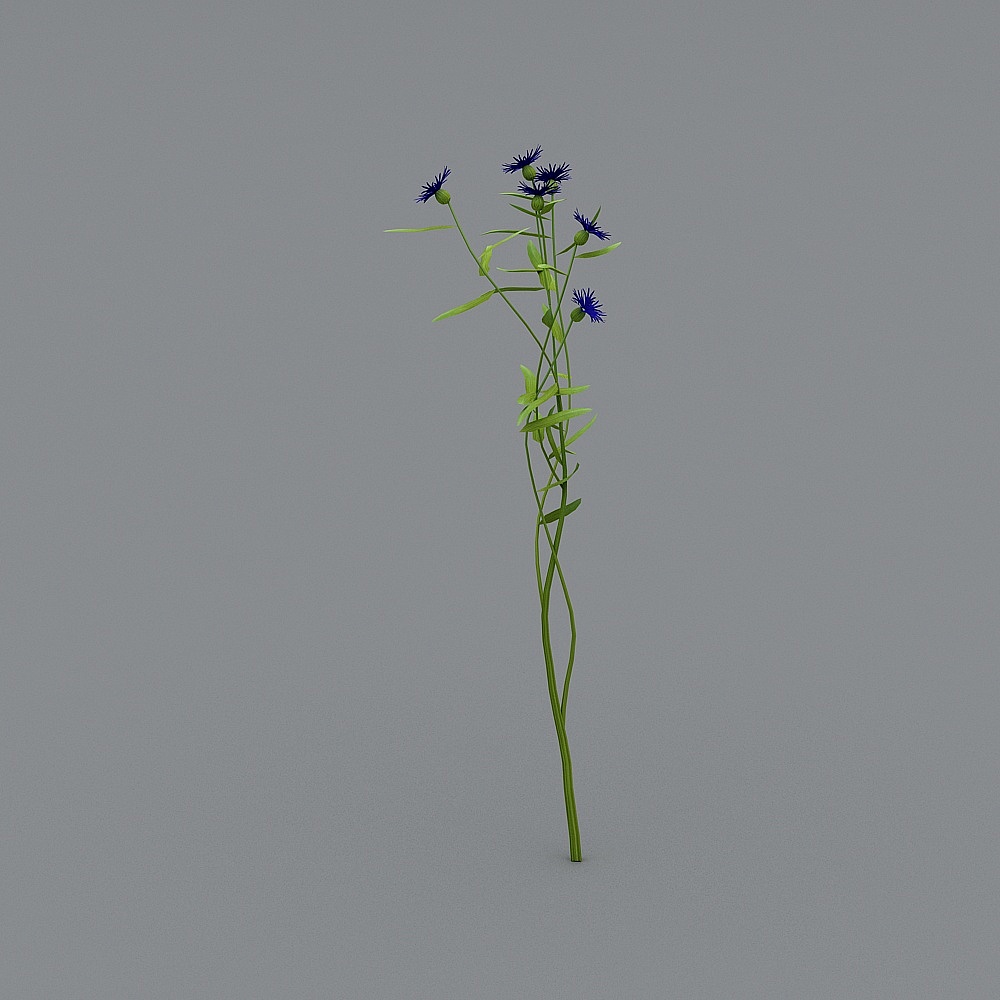 户外植物-723D模型