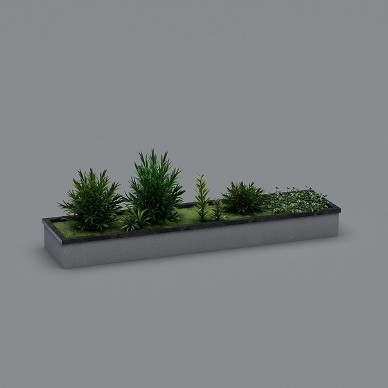 Outdoor plants-8