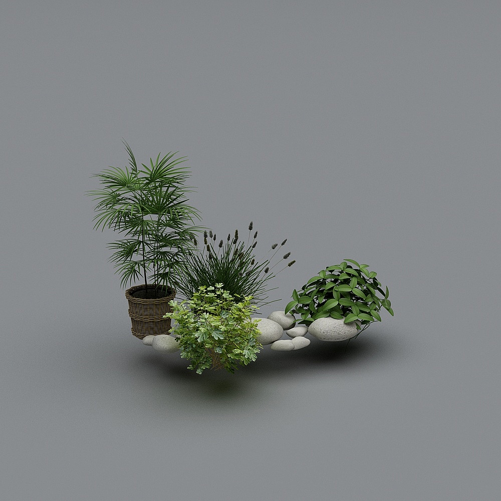 户外植物-123D模型