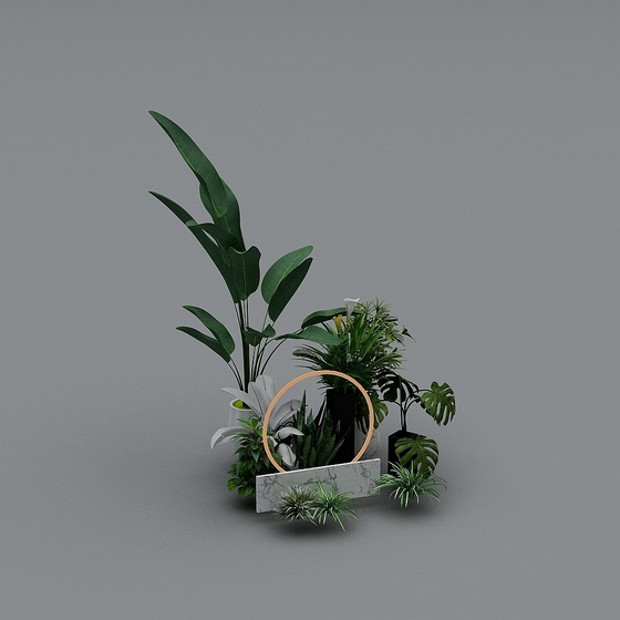 Outdoor plants-4