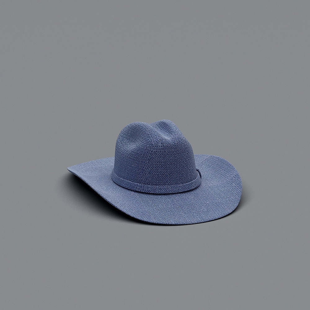 现代帽子-蓝色牛仔帽3D模型