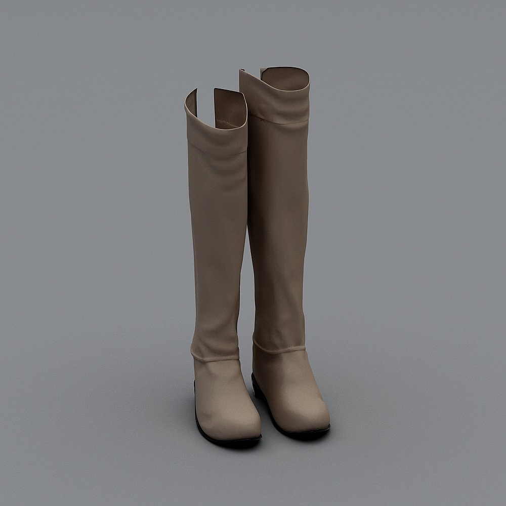 现代鞋子-女士高筒靴3D模型