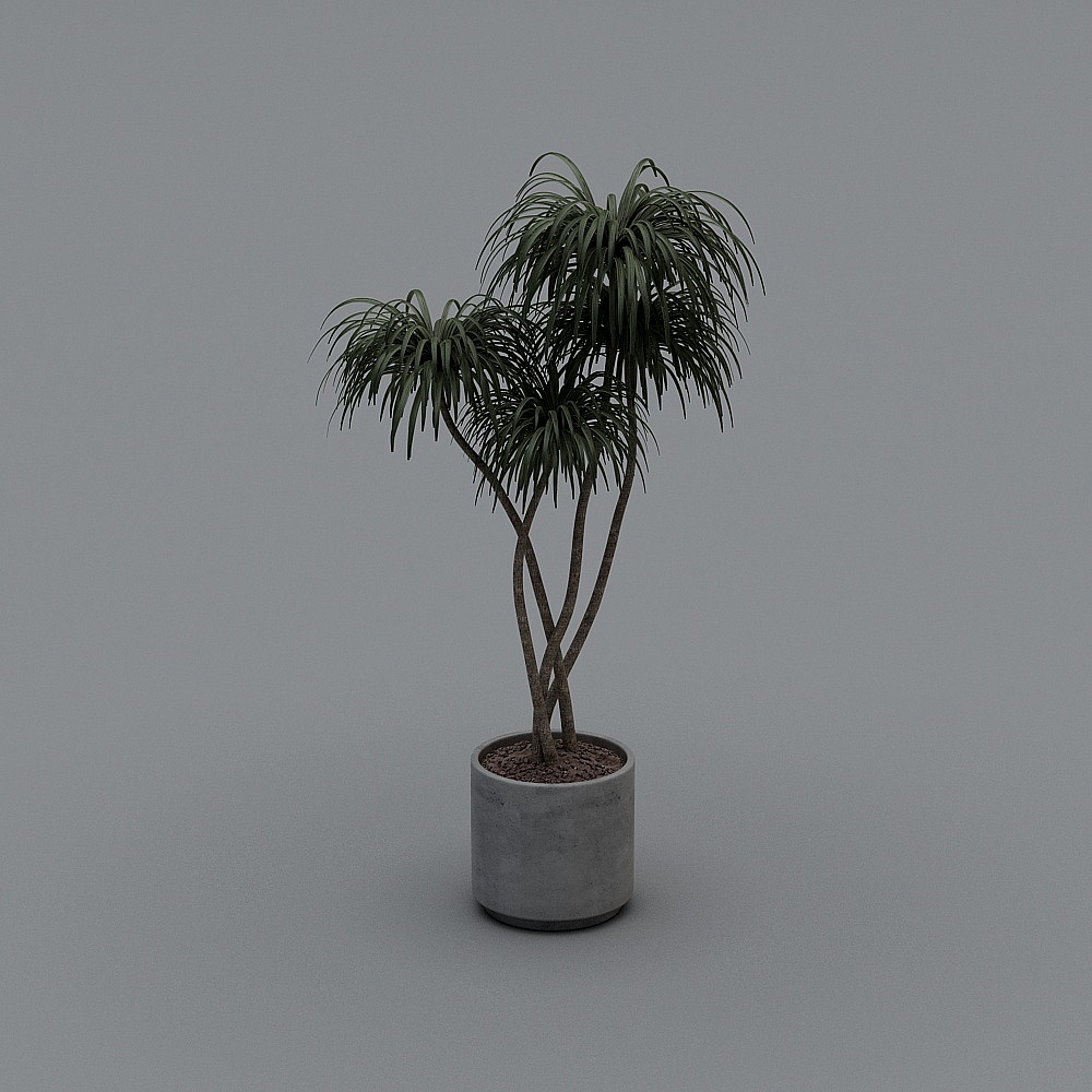 现代盆栽14